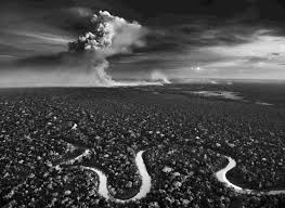 Sebastião Salgado