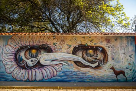 La piel de la ciudad: Transfiguración arquitectónica y memoria social a través del muralismo y el arte urbano