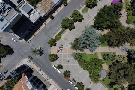 La Poética del Follaje Urbano: Arquitectura, Arte y Memoria en el Paisajismo Contemporáneo