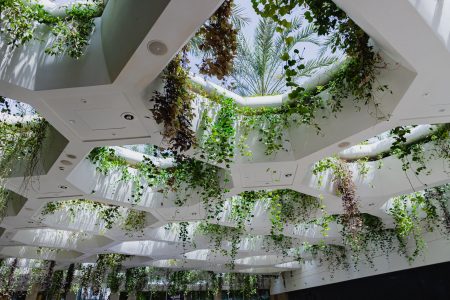 Arquitectura y naturaleza en armonía: El diseño bioclimático como identidad cultural y hábitat en Chile