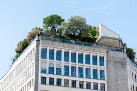 Sostenibilidad y arquitectura pasiva: El arte de habitar en armonía con el territorio