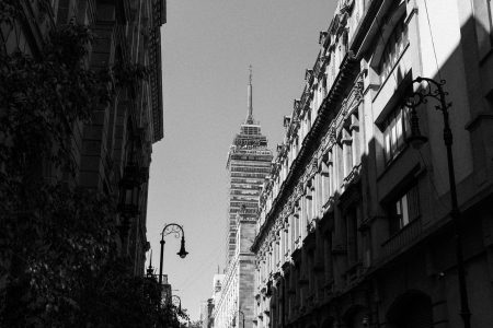 Formas, luz y selva: El legado transformador de la arquitectura moderna latinoamericana