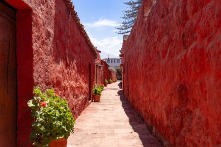 Formas de la tierra y la memoria: El habitar en la arquitectura vernácula chilena