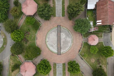 La poética del follaje: El paisajismo urbano como tejido cultural y arquitectónico en la ciudad contemporánea