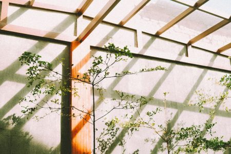 Arquitectura que respira: El diseño bioclimático como diálogo entre territorio, cultura y sostenibilidad
